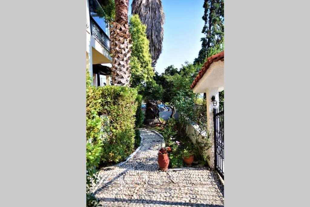 Calma Luxury Apartments #3 Sozopoli In Halkidiki Ngoại thất bức ảnh